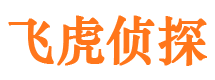 从江婚外情取证